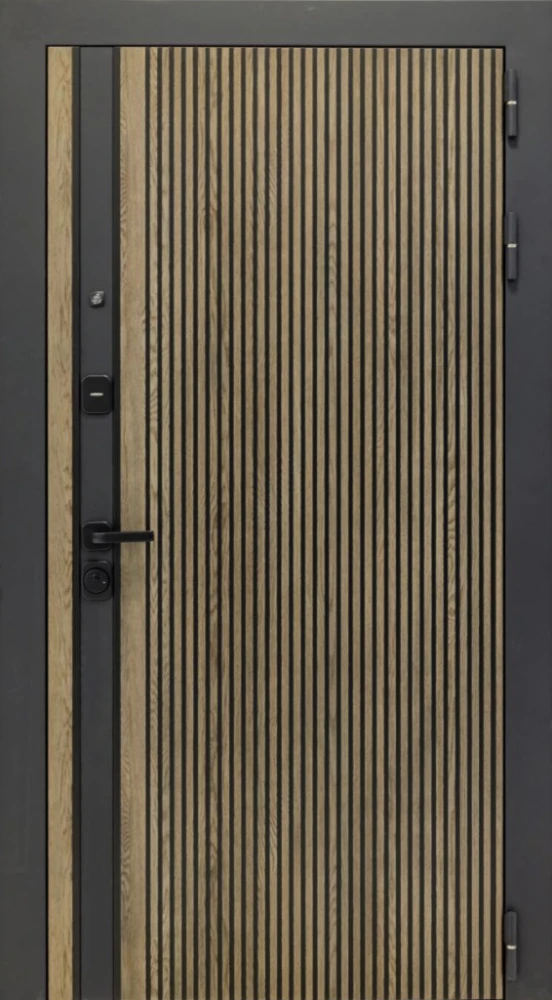 Входная дверь ДвериПРО Rosna ФЛ-256 (10мм, бетон снежный) DPRO200993 внешняя сторона